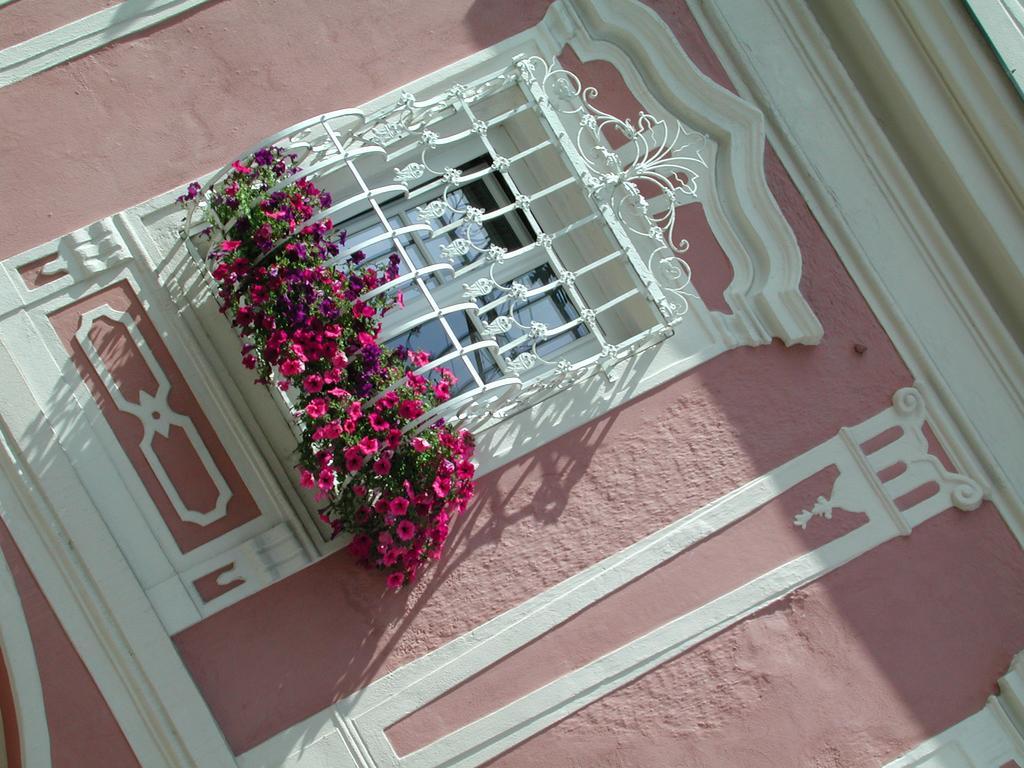 Neufelden Hotel Sammer المظهر الخارجي الصورة