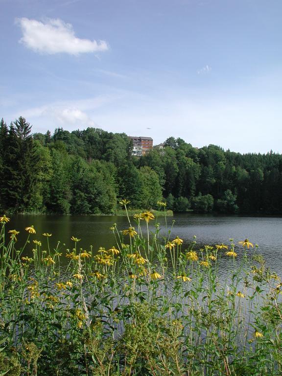 Neufelden Hotel Sammer المظهر الخارجي الصورة